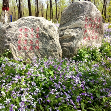 精密行星減速機